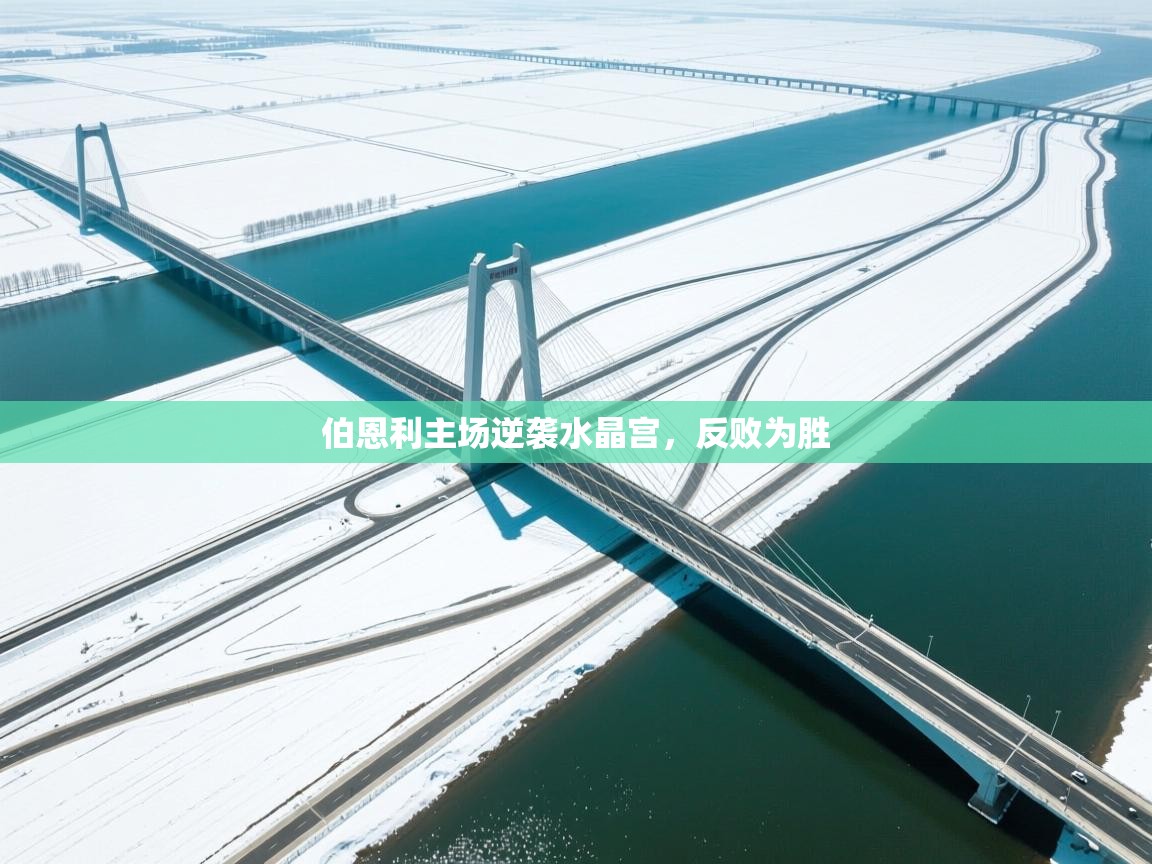 伯恩利主场逆袭水晶宫，反败为胜  第2张