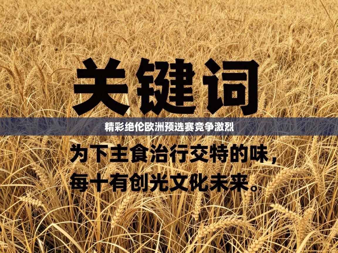 精彩绝伦欧洲预选赛竞争激烈  第2张